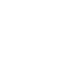 apple icon